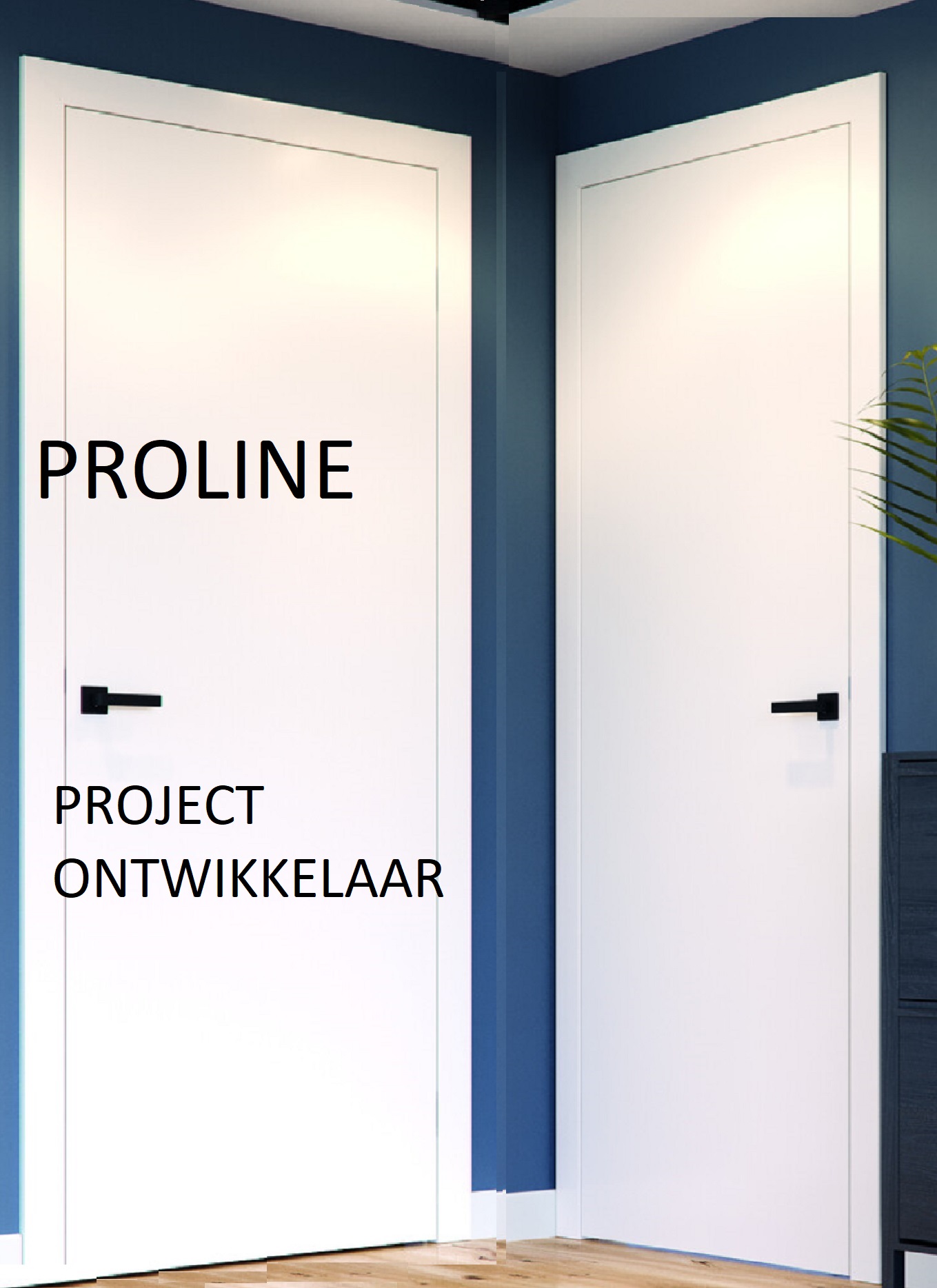 projectontwikkelaars-deuren-denedis